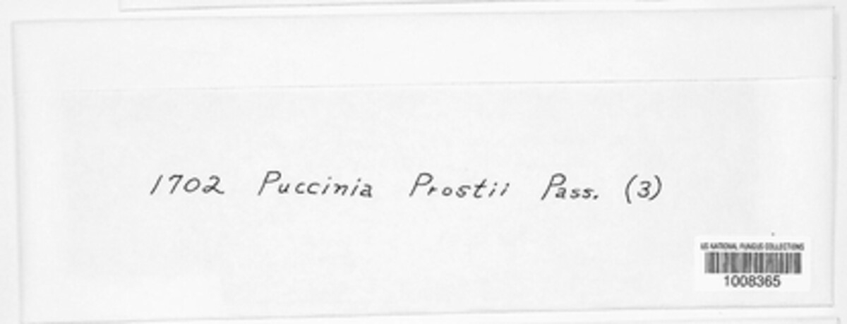 Allodus prostii image